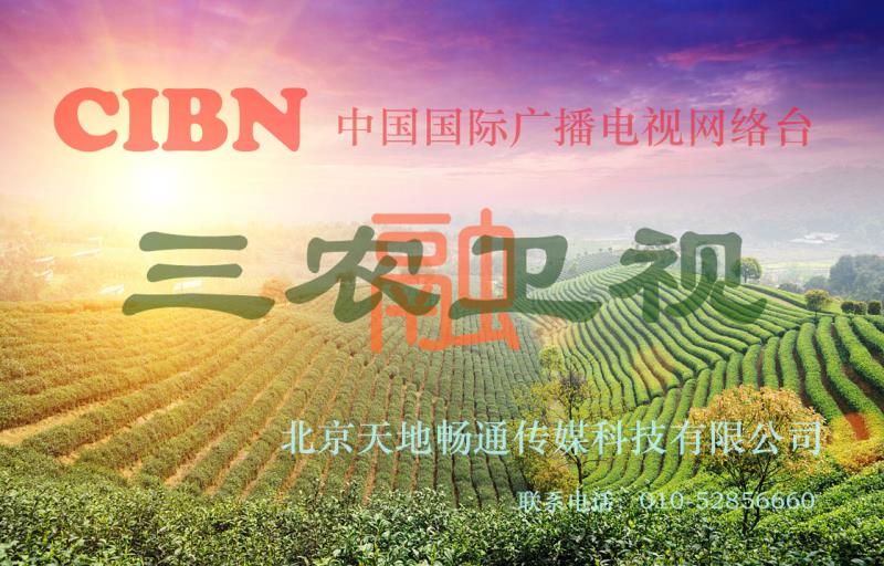 我的梦张靓颖