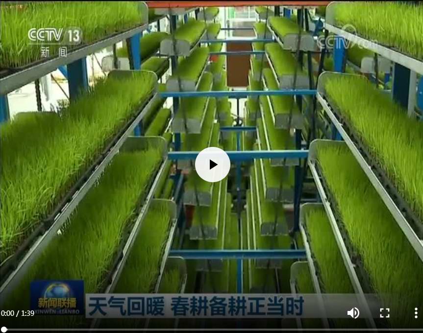 天气回暖 春耕备耕正当时