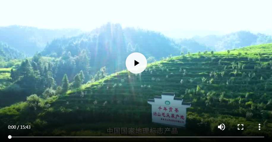 乡村振兴三湘行—千年茶旅 康养沩山