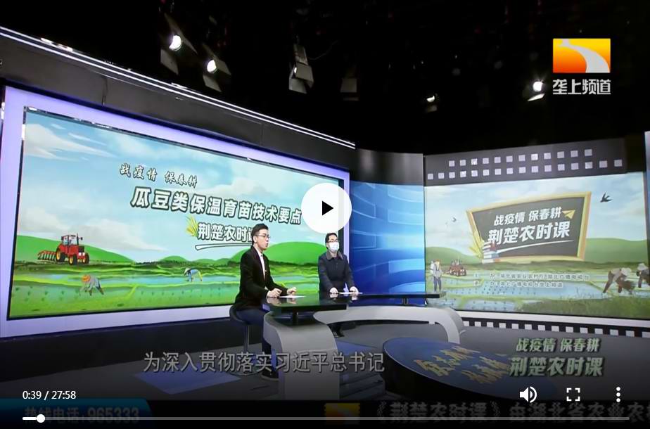 瓜豆类保温育苗技术要点