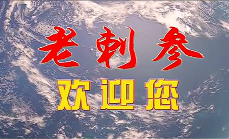 老刺参海洋美食，胶东特产
