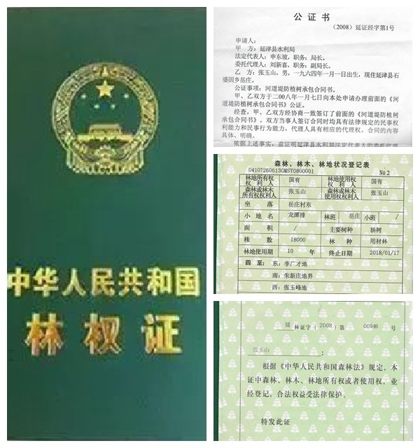 林权证