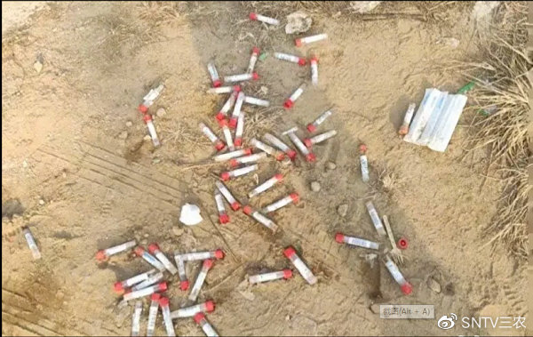 一次性拭子采样管